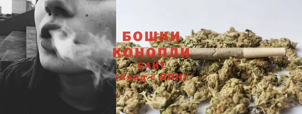 прущие грибы Балахна
