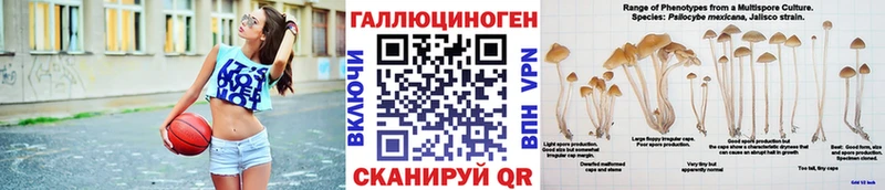 Галлюциногенные грибы GOLDEN TEACHER  Советская Гавань 
